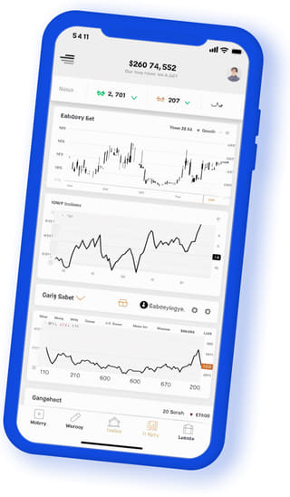 Zenith Vaultio digital web application on mobile device